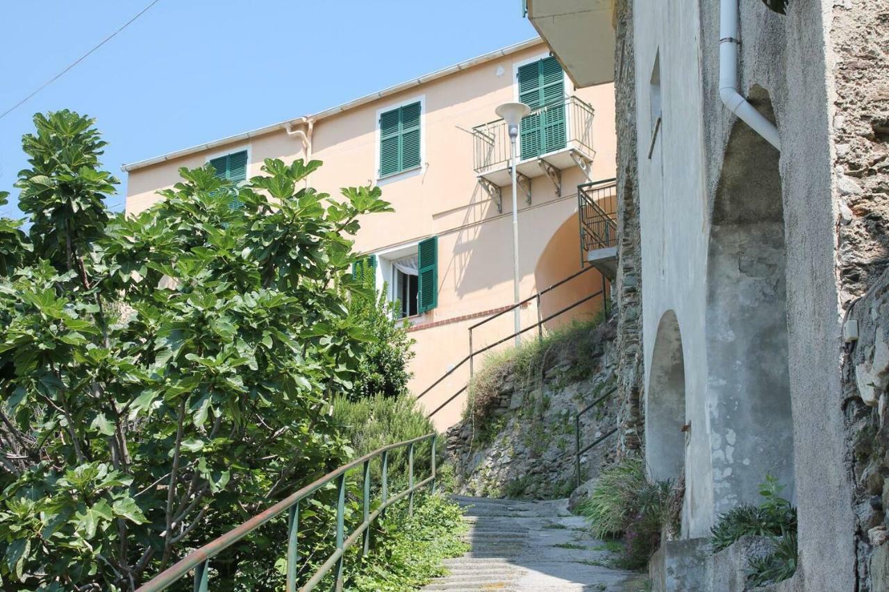 La Casetta Di Graziella Daire Vezzi Portio Dış mekan fotoğraf