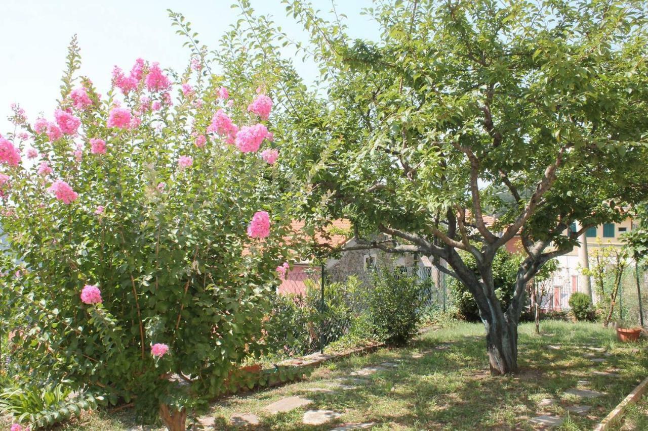 La Casetta Di Graziella Daire Vezzi Portio Dış mekan fotoğraf